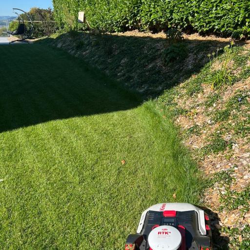 mäht bis an den Rand